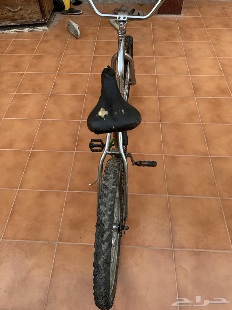 سيكل فراشه للبيع64612313936257112