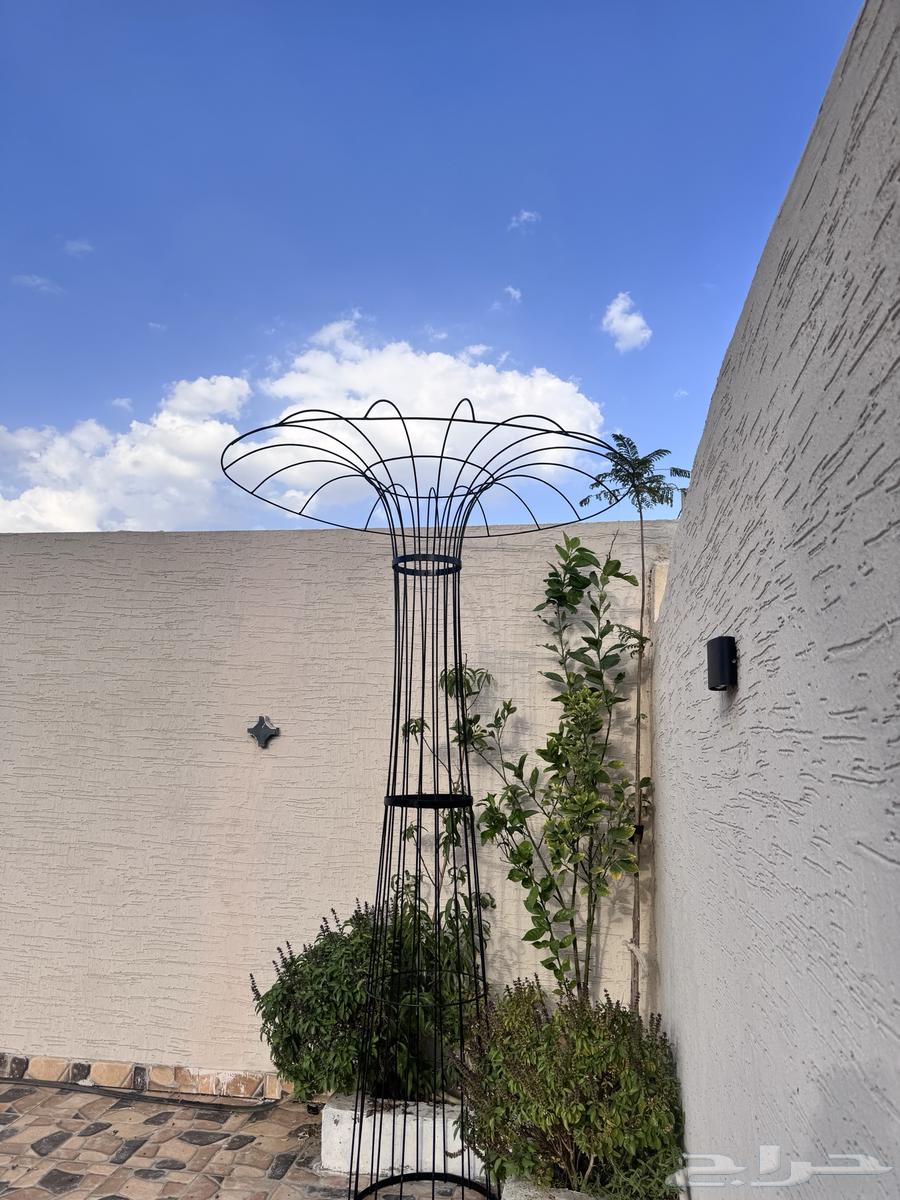 استاند اشجار جهنميه وغيرها من الاشجار المستلقه64611879880194112