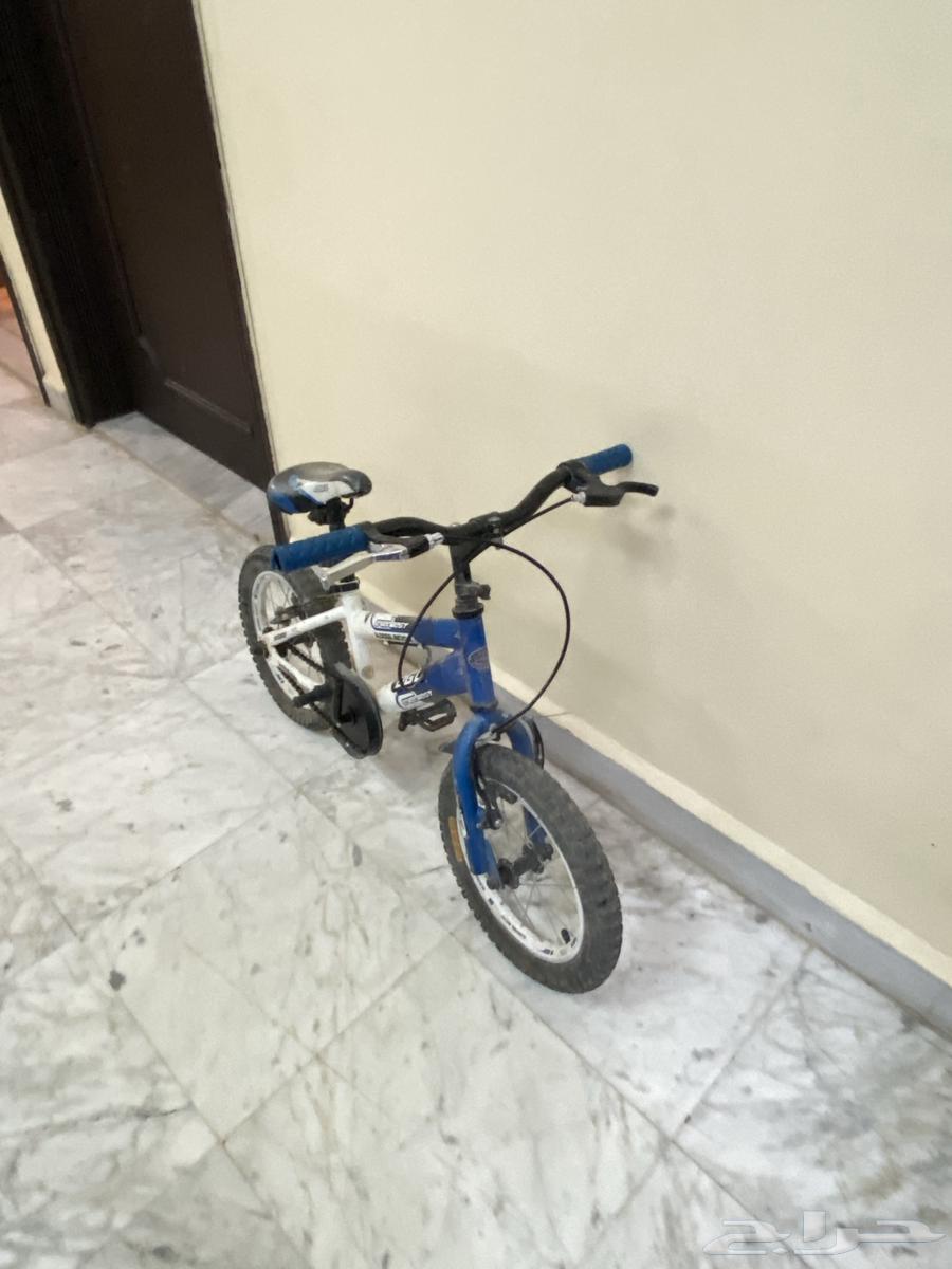 دراجة هوائية64609772574465111