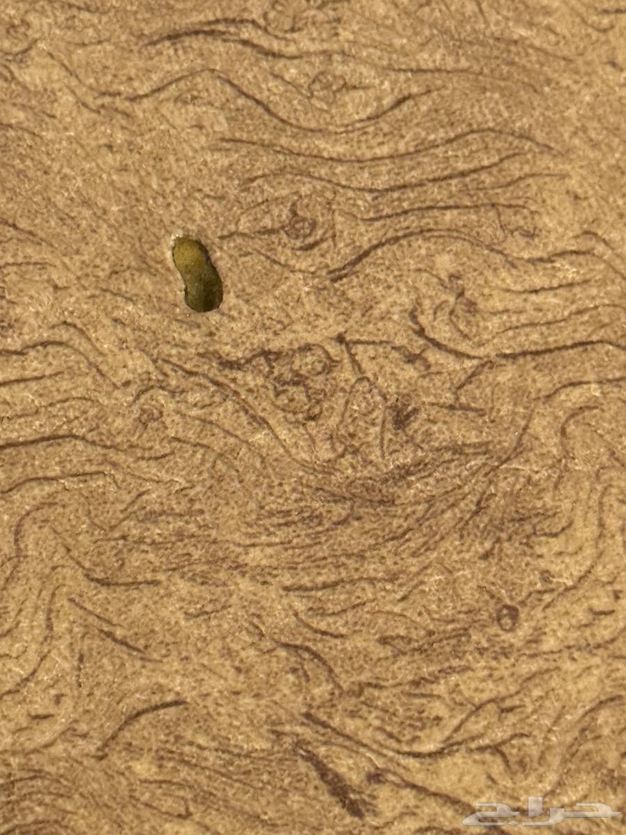 Sofa Set64414514218114113