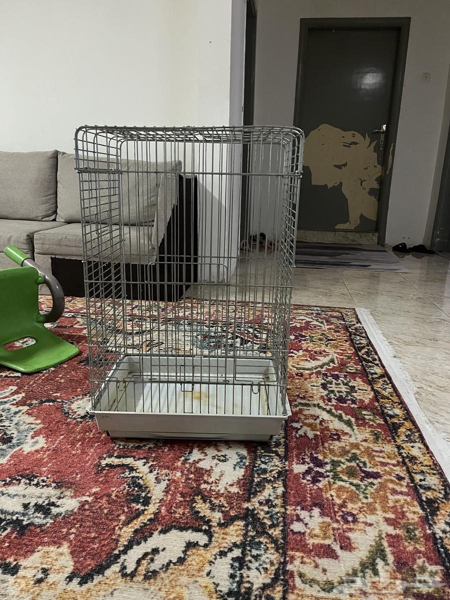 قفص كبير للطيور64614856589699111