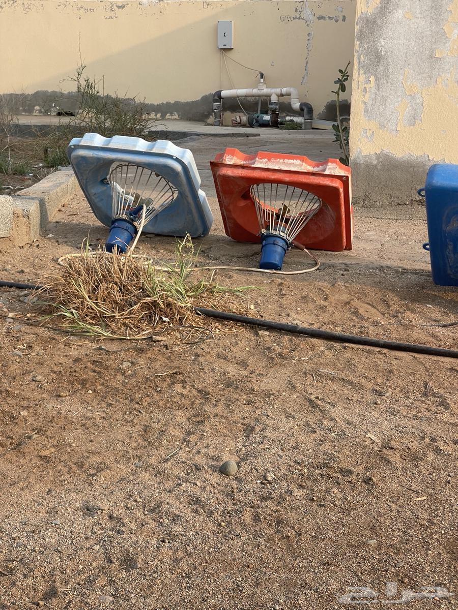 نوافير مستعمله لاحوض أسماك للبيع64610379917825110