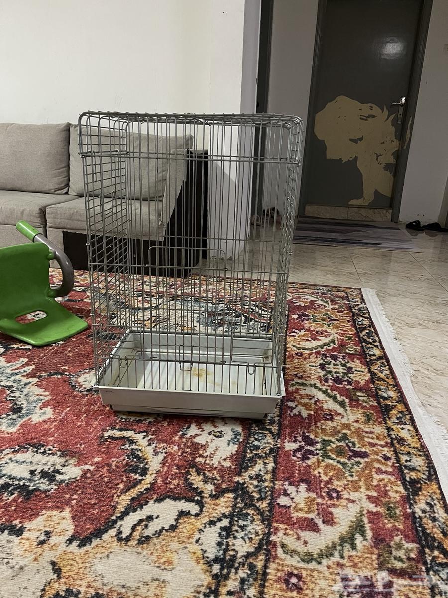 قفص كبير للطيور64614856589699112