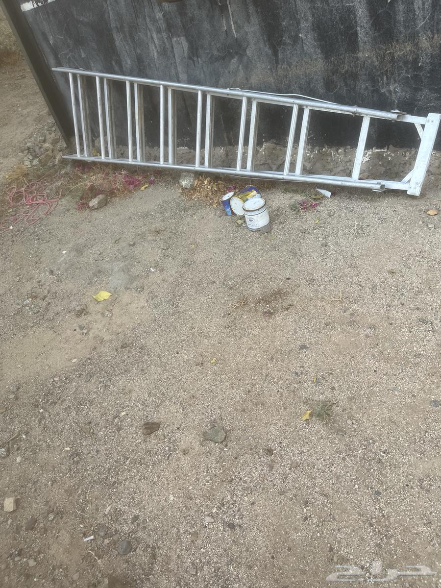 سلم ألمنيوم بحالة ممتازة64612582662273110