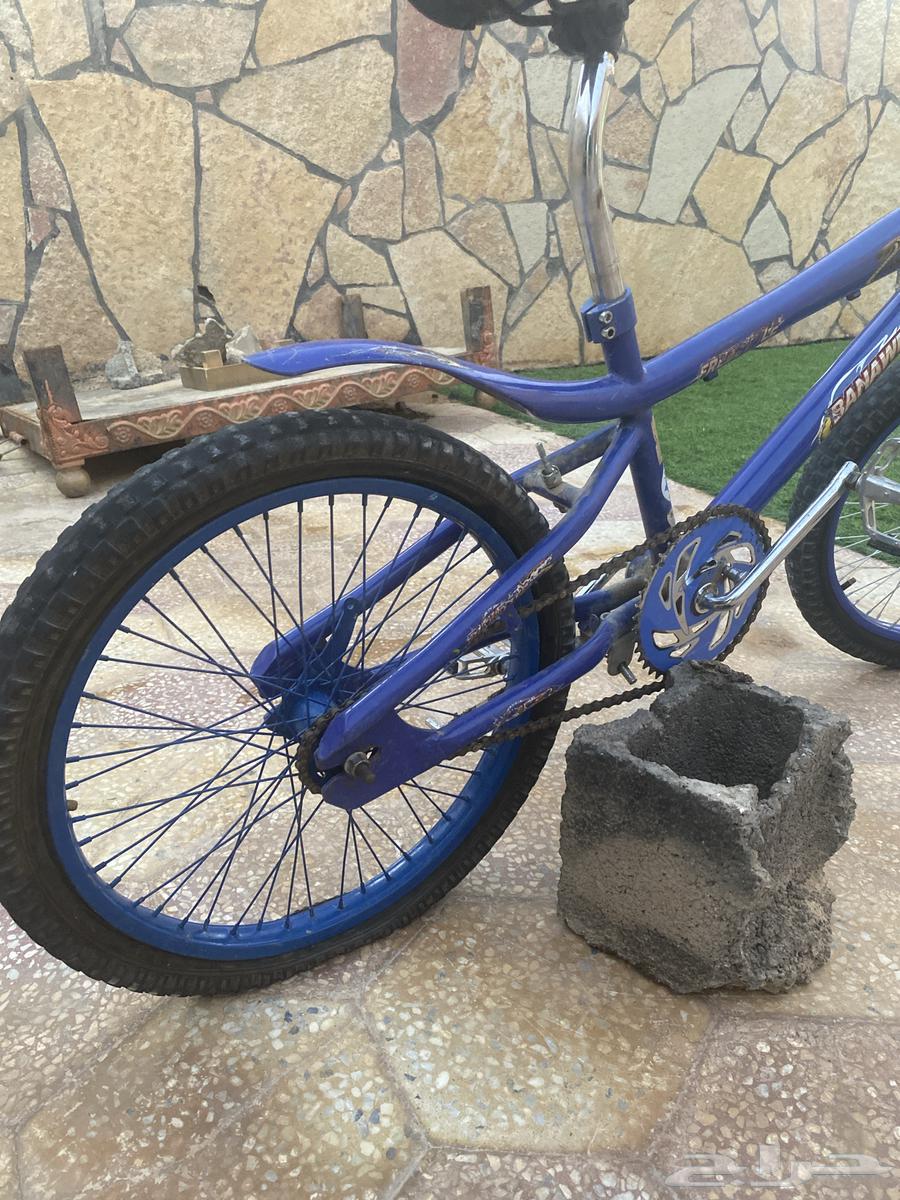 Cobra Bicycle in Al-Qurayyat64612908093825114