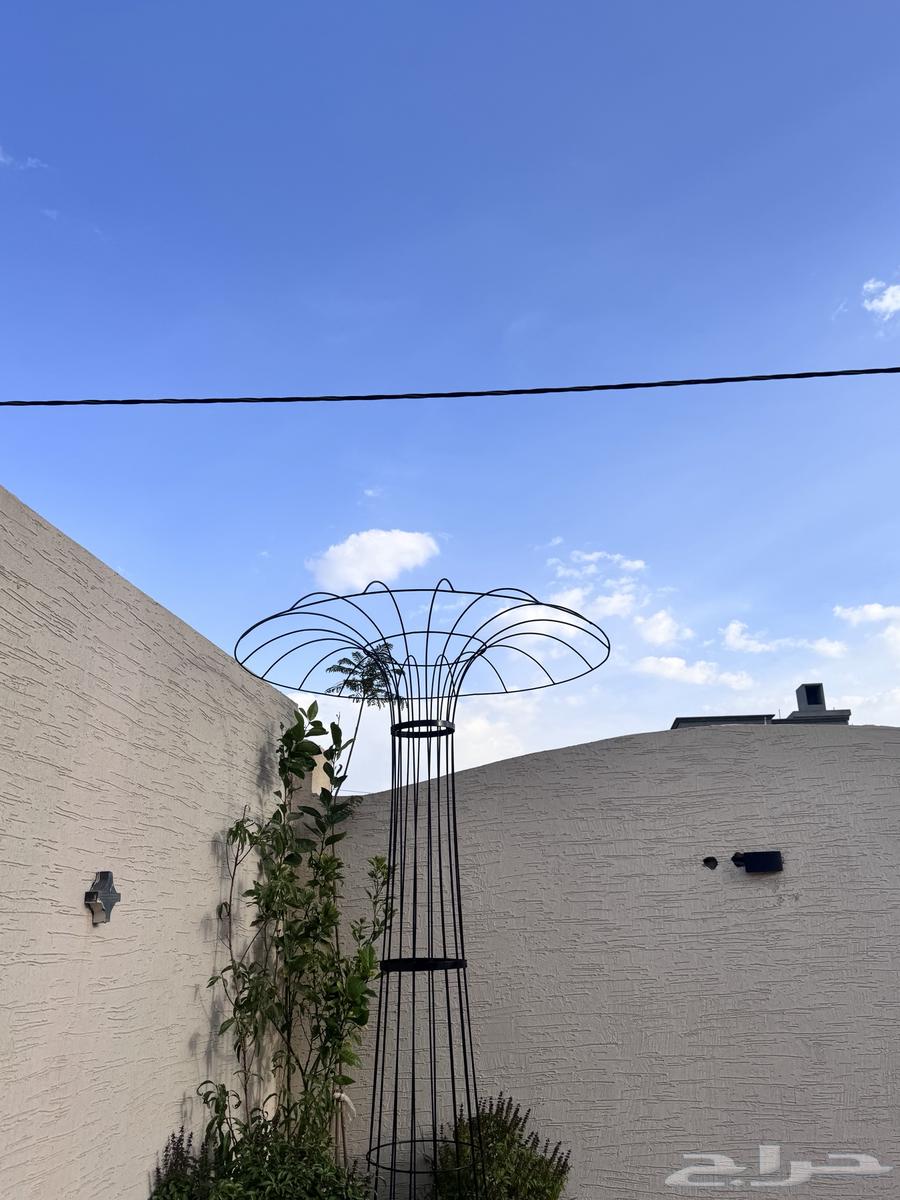 استاند اشجار جهنميه وغيرها من الاشجار المستلقه64611879880194111