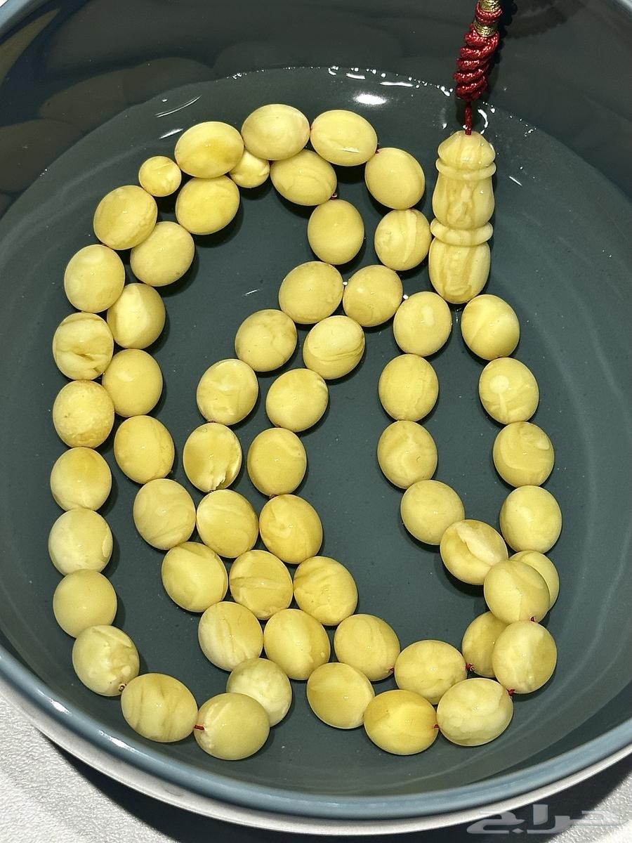 مسباح كهرمان بولندي سوبر64608416448129112