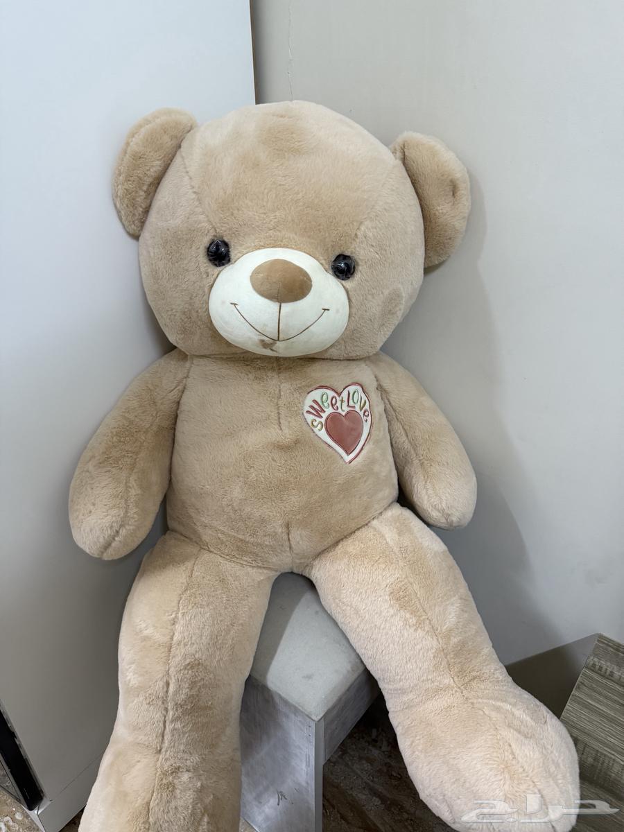 دبدوب للبيع كبير جديد64613239575297110