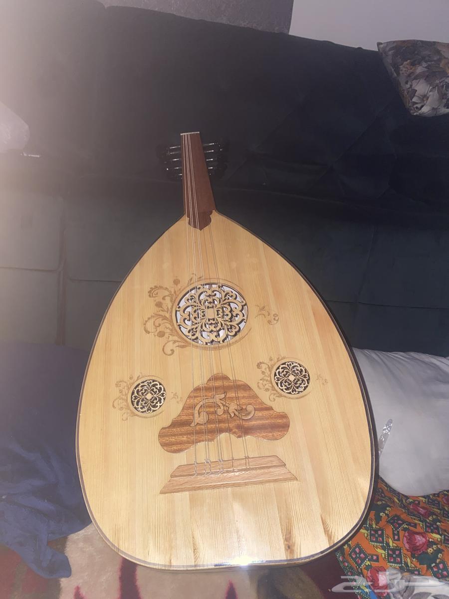 عود للبيع64616017670273110