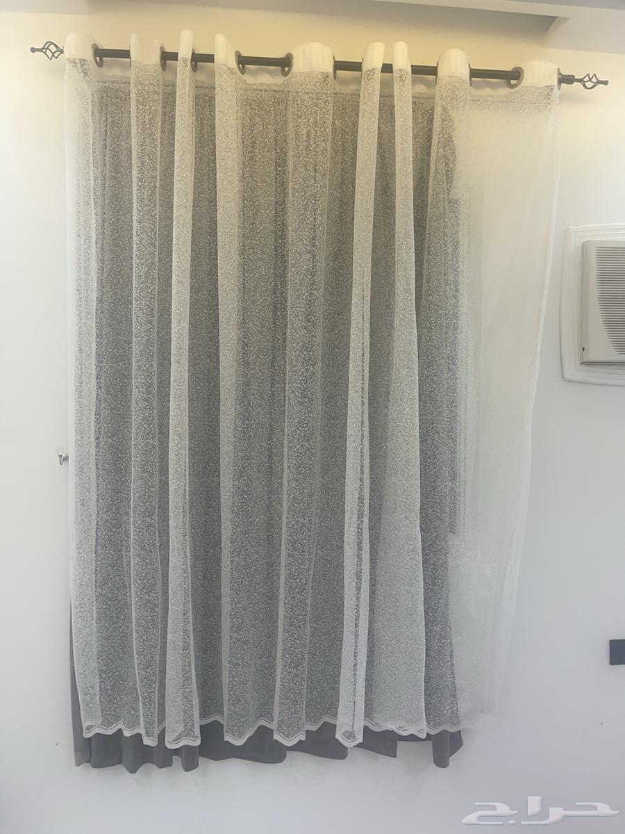 Steer for Sale, Item No. 364614942477442110