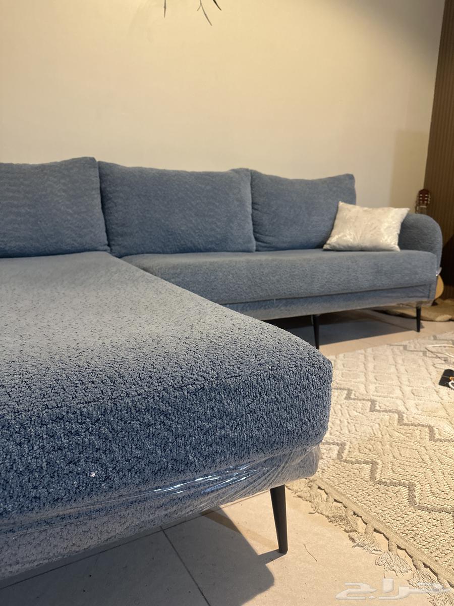 Bed and Sofa64614991626882112