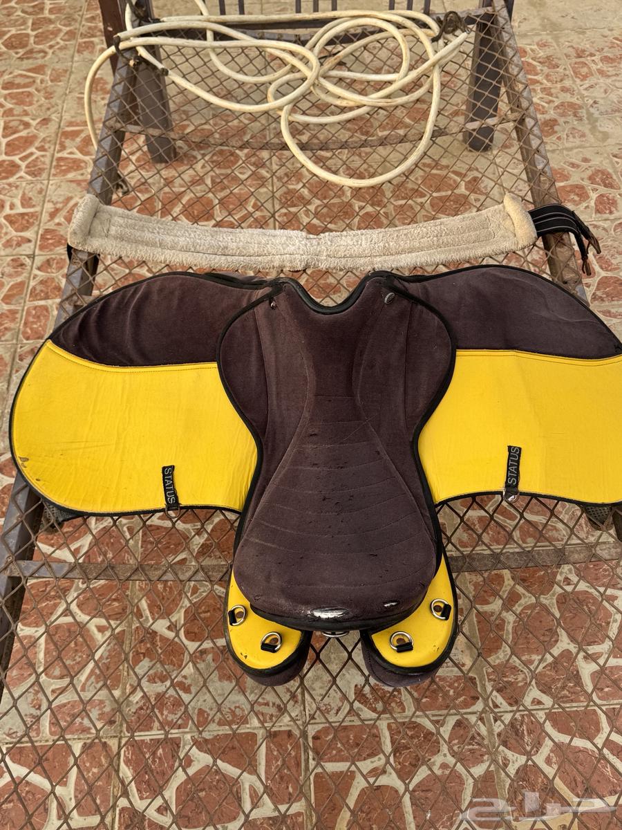 للبيع سرج استيتوس نظيف64612115124099110