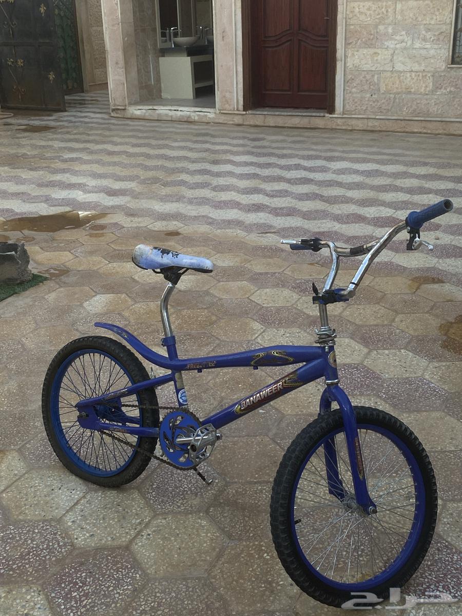 Cobra Bicycle in Al-Qurayyat64612908093825110