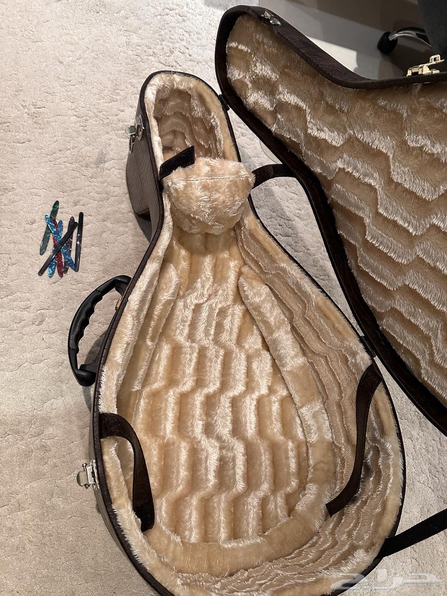 للبيع عود موريس64612425043842111