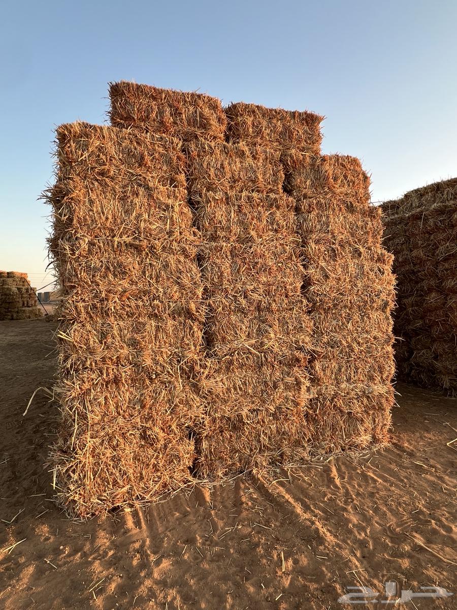 ذره جيزانيه للبيع64612412839426111