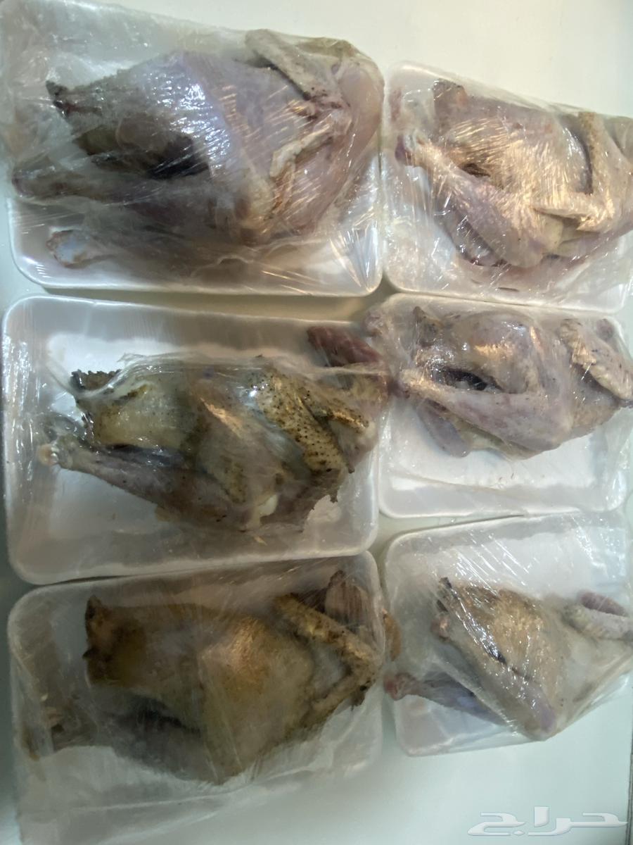 ديكه مذبوحه64611292450050113