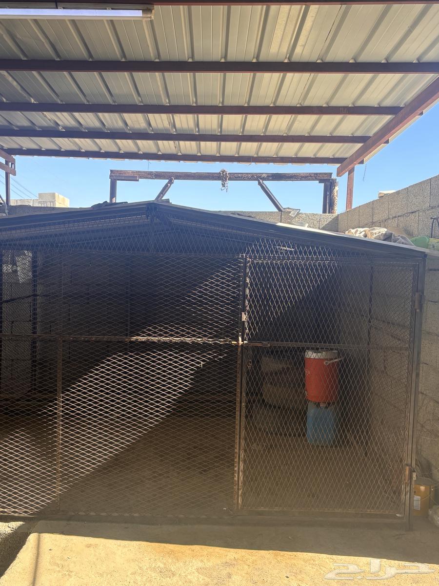 شبك غرفه للبيع64610741476482110