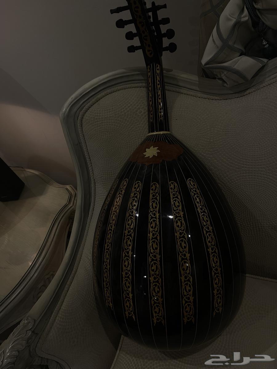 Professional Oud in Excellent Condition64610716388225110