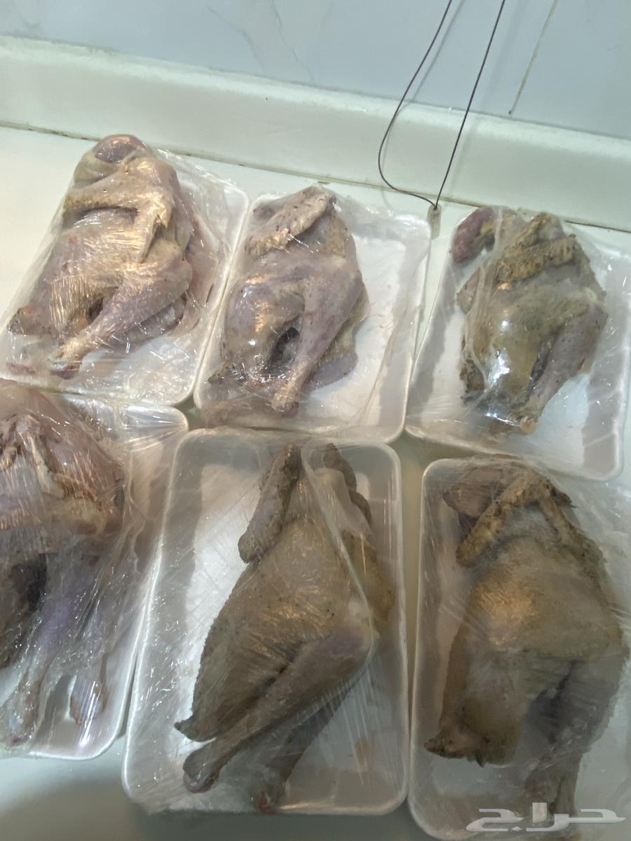 ديكه مذبوحه64611292450050112