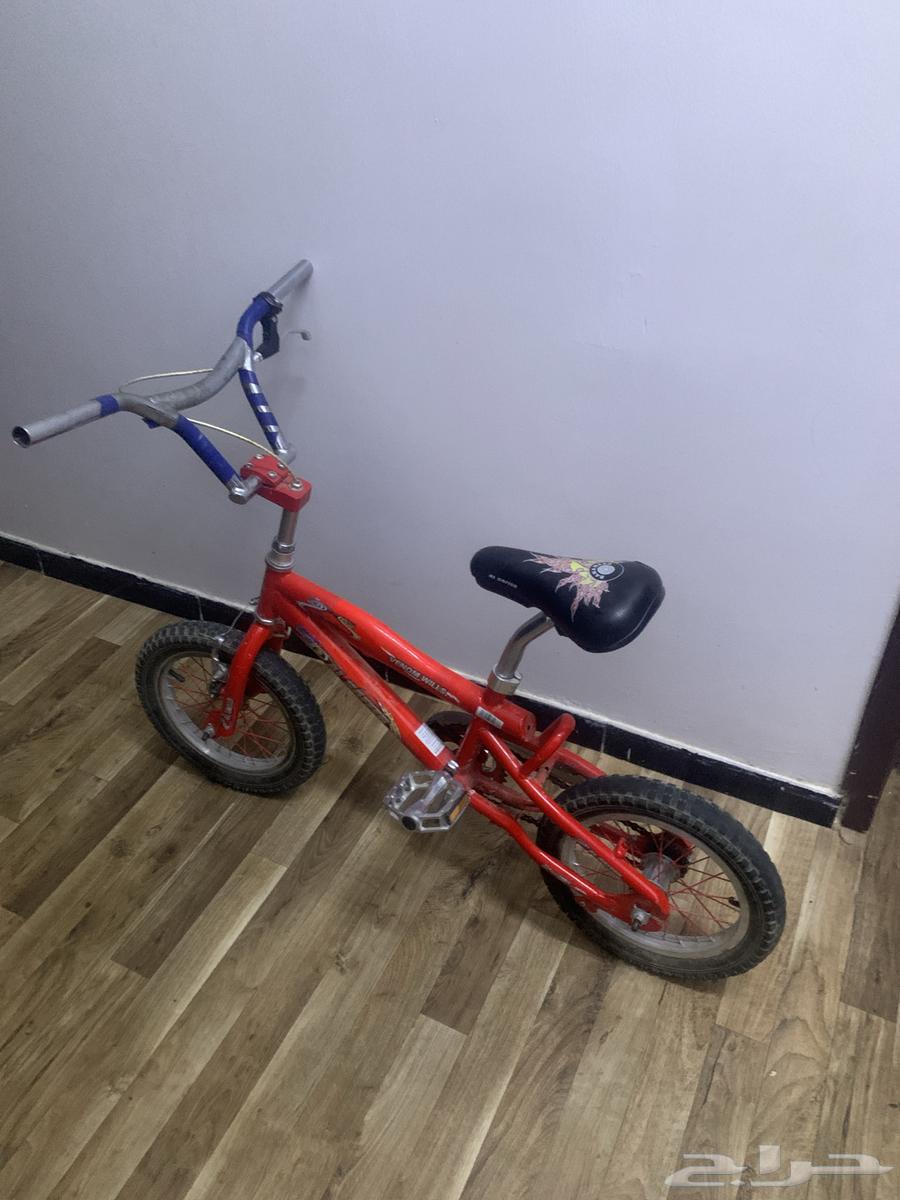 سيكل كوبرا مقاس 14 مايشتكي من شيء64611167198594112