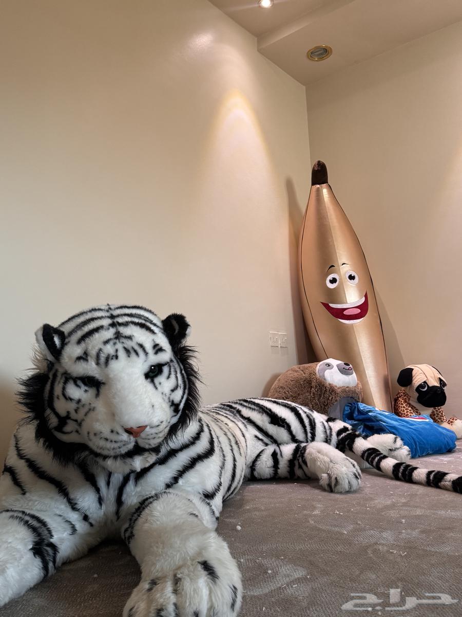 مجموعة ألعاب نادرة64608215570947110