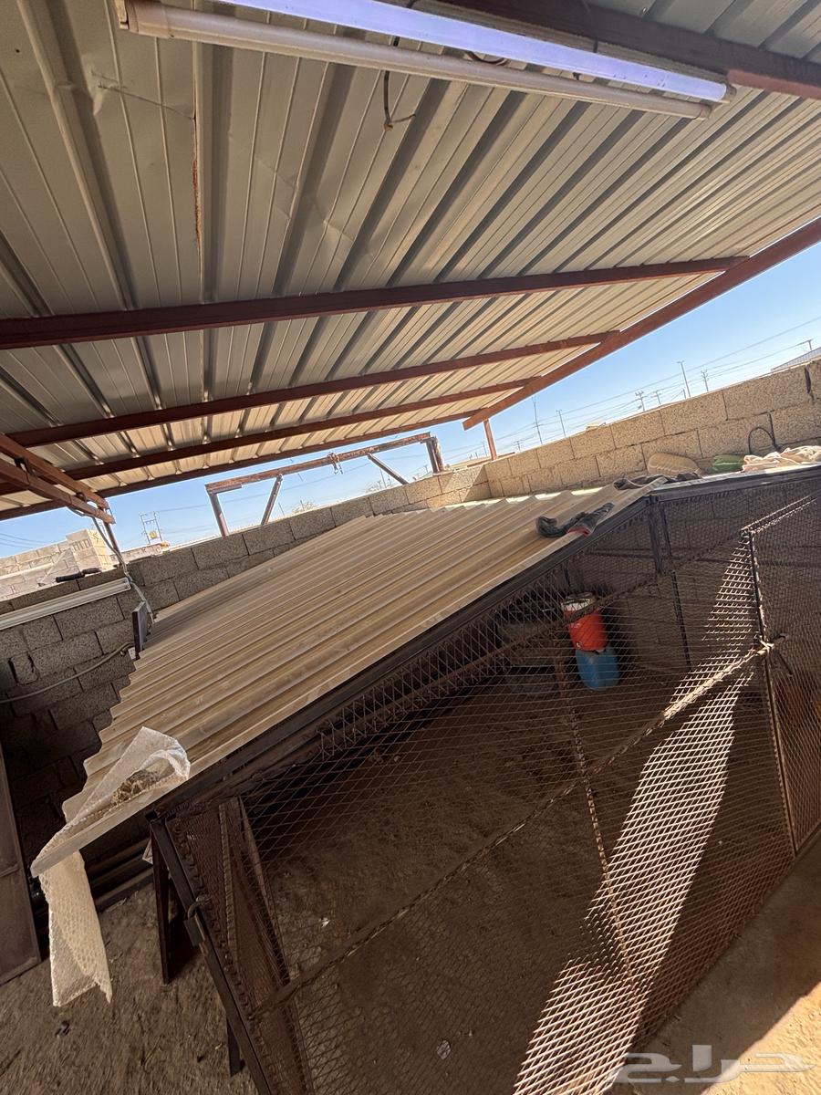 شبك غرفه للبيع64610741476482111