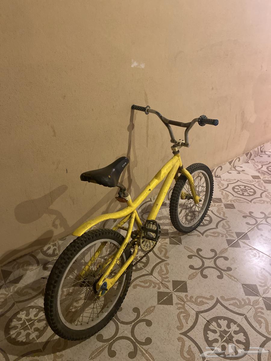 Cobra walks well, condition is almost good, limited to 5064617614405506110