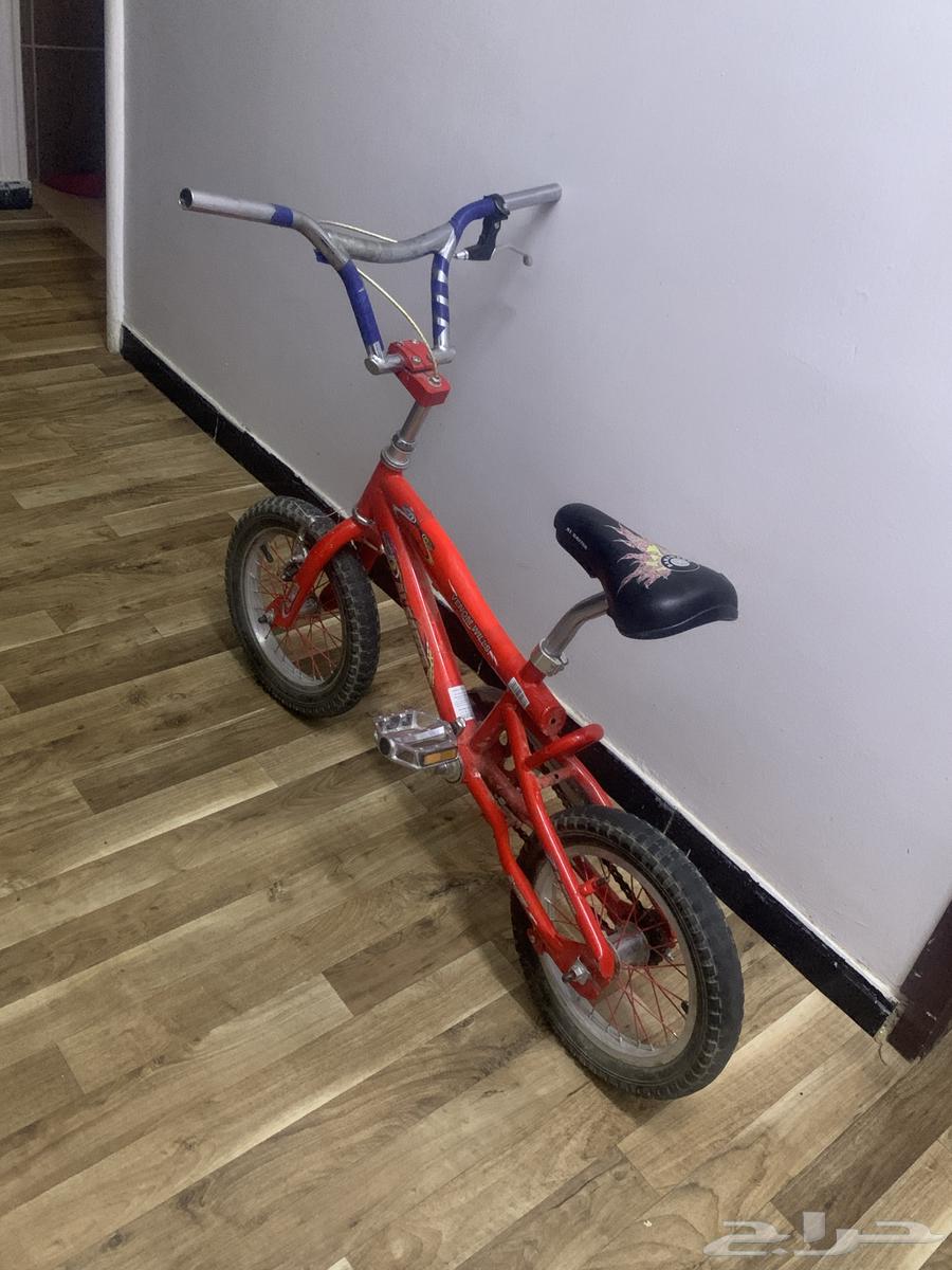 سيكل كوبرا مقاس 14 مايشتكي من شيء64611167198594110