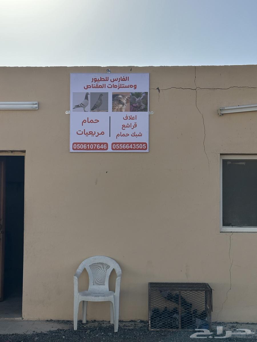 Hunting Accessories64576058320513114