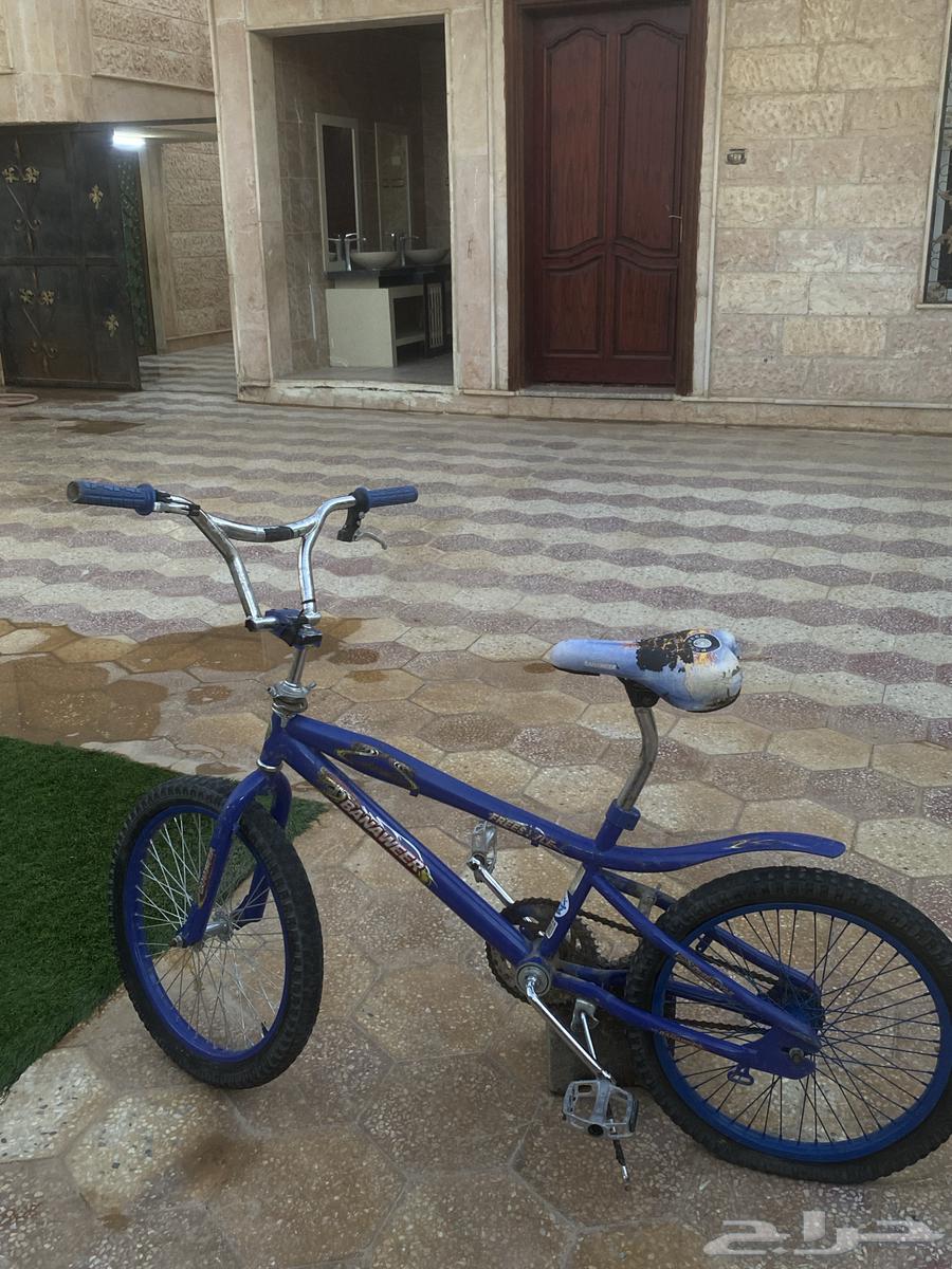 Cobra Bicycle in Al-Qurayyat64612908093825112