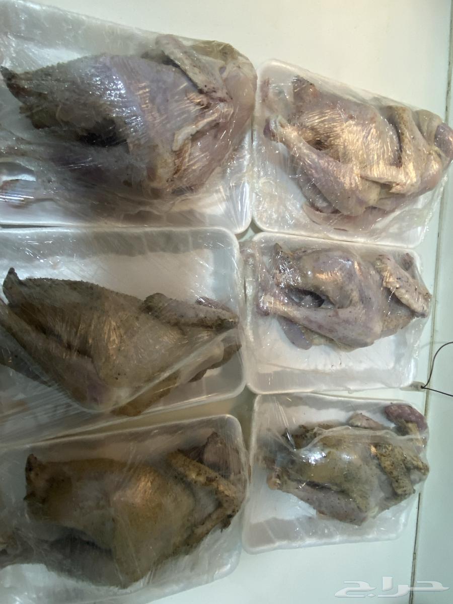 ديكه مذبوحه64611292450050114