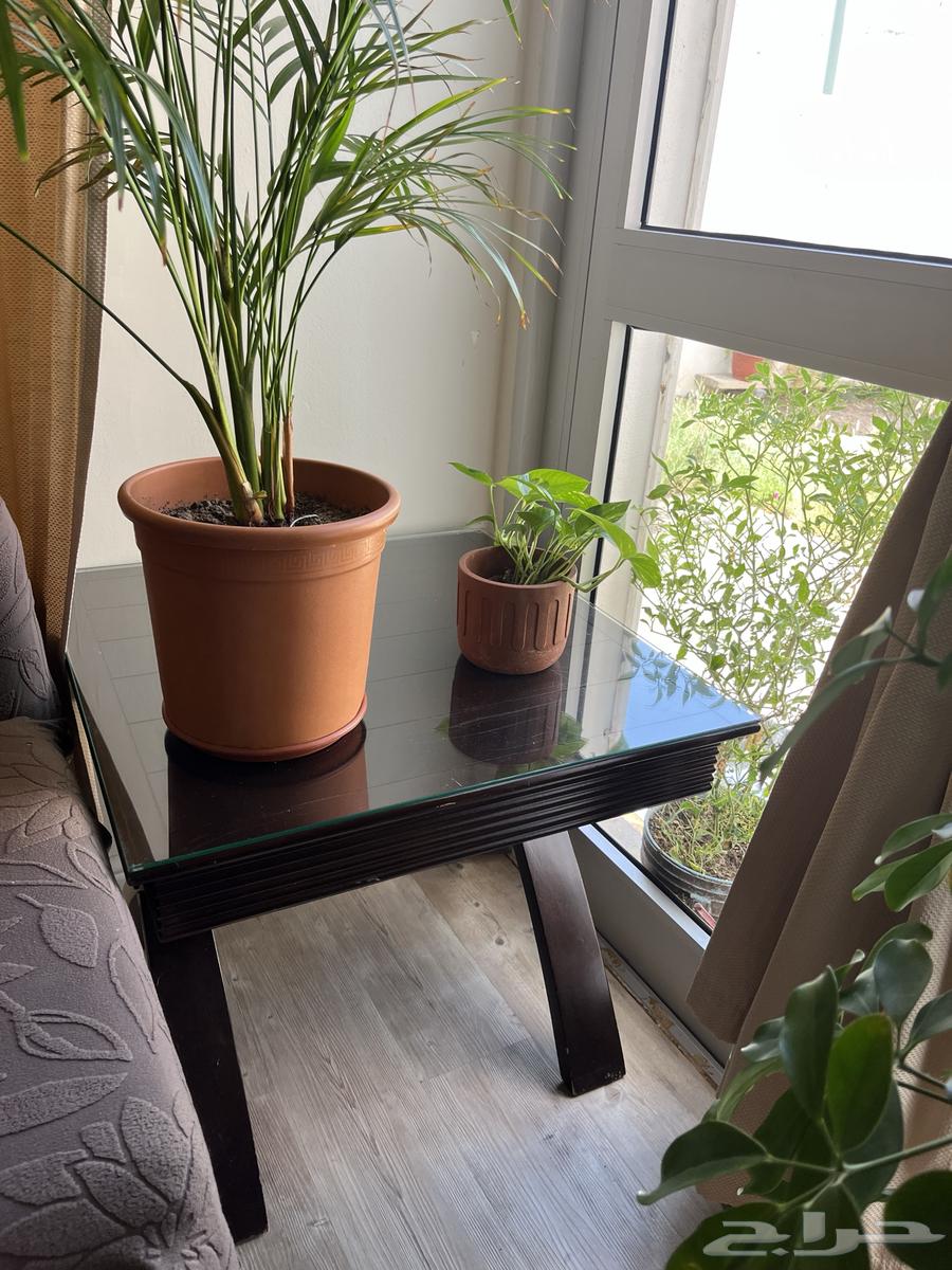 Two Tables from Home Center64610281253250111