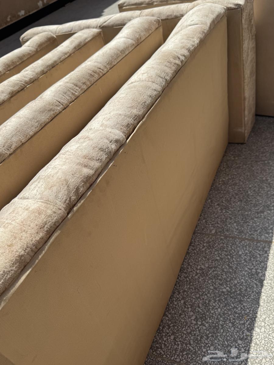 جلسة لونها بيج خلفيتها خشب64609423380483113