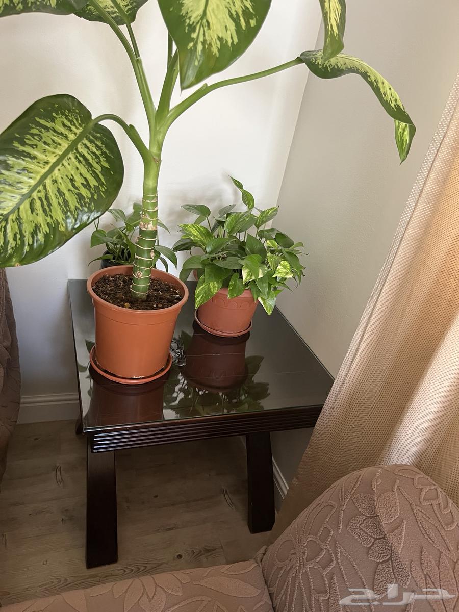 Two Tables from Home Center64610281253250110