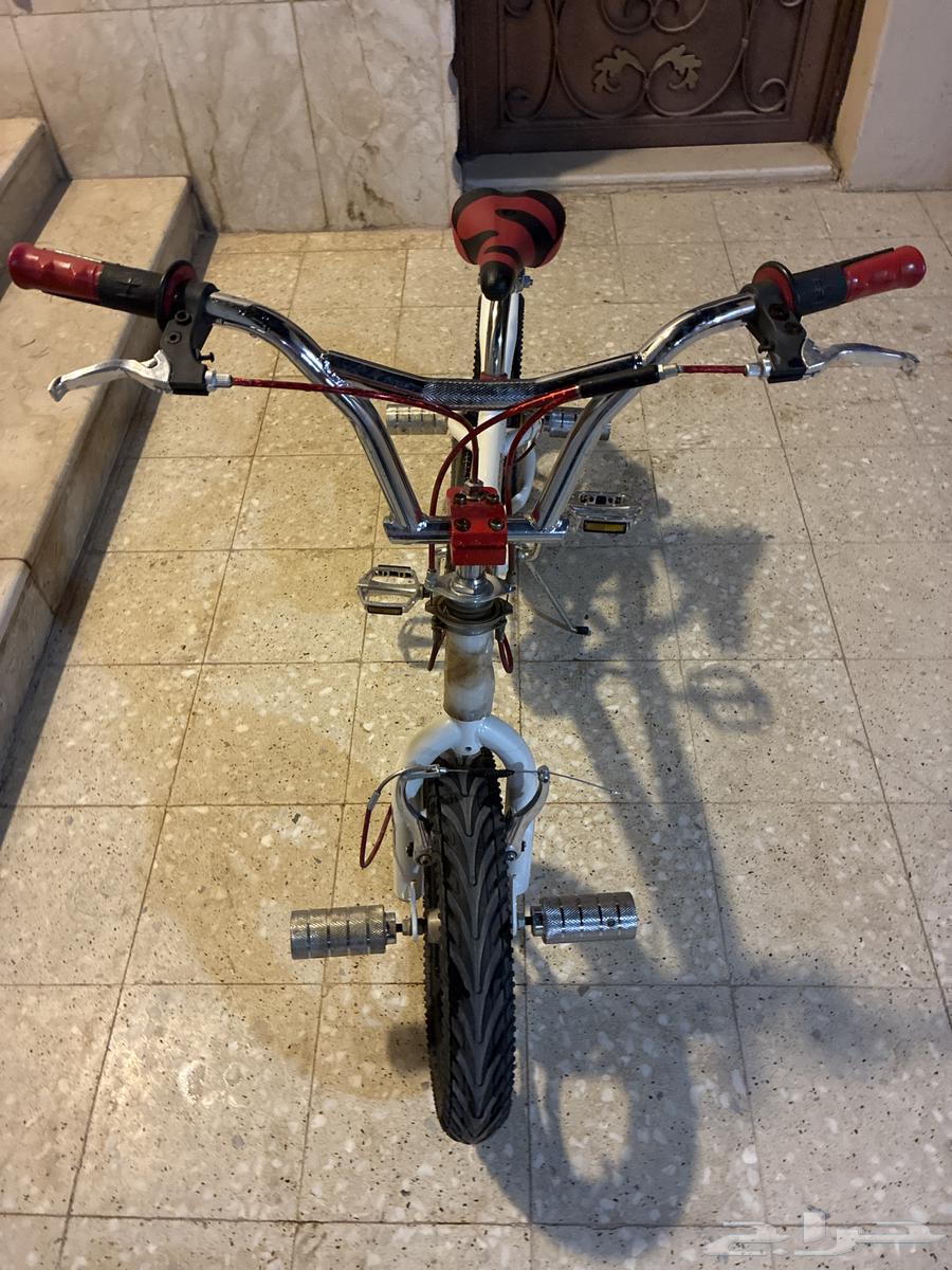 للبيع سكوتر درفت   وسيكل كوبرا .64614110909955113