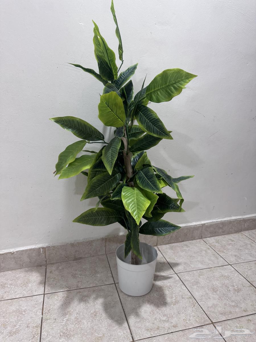 Miscellaneous Items at Low Prices64607668899971112