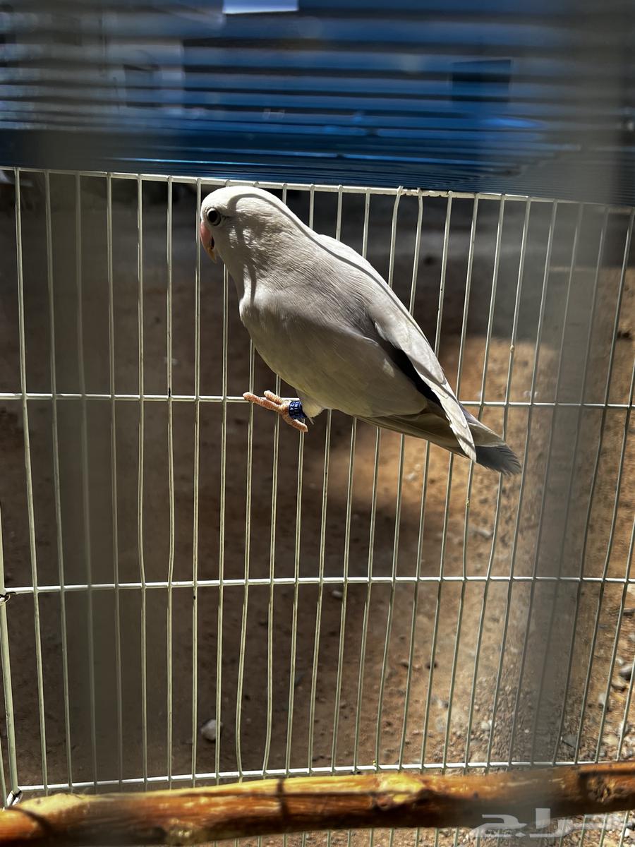 Daily reminder64610058344323110