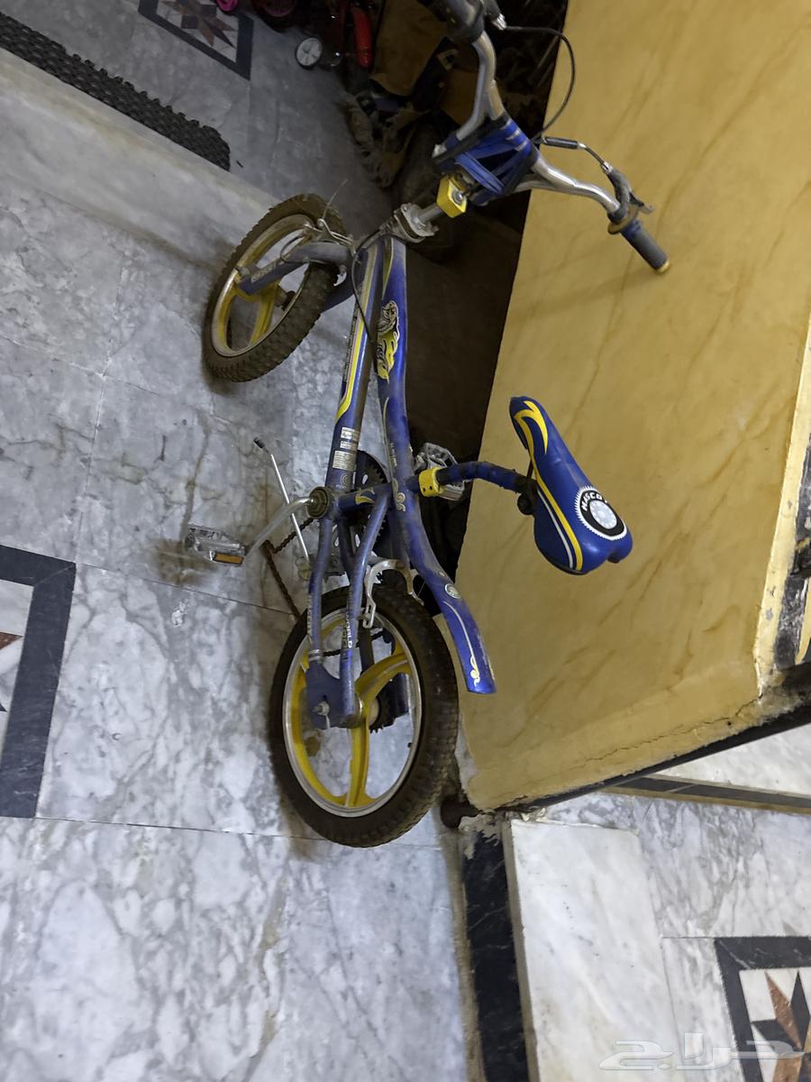 Cobra Bicycle: Brand New, Nothing Damaged64606174635906111