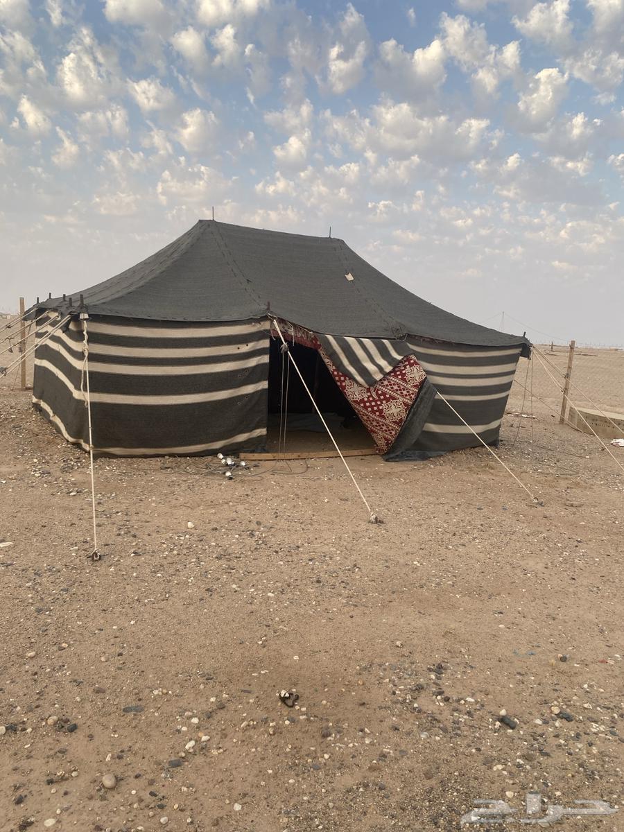 بيت شعر للبع64612127478914111