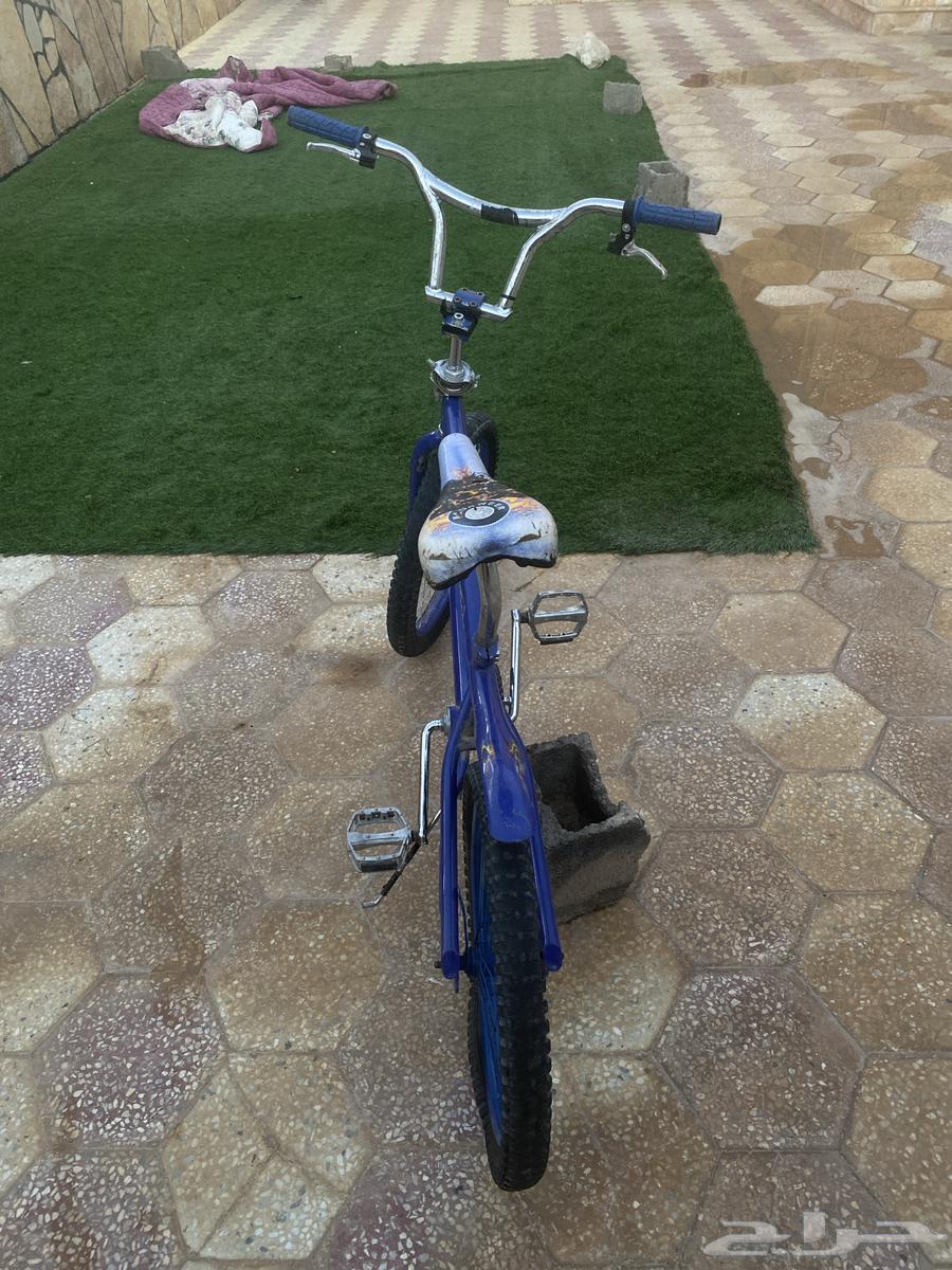 Cobra Bicycle in Al-Qurayyat64612908093825113