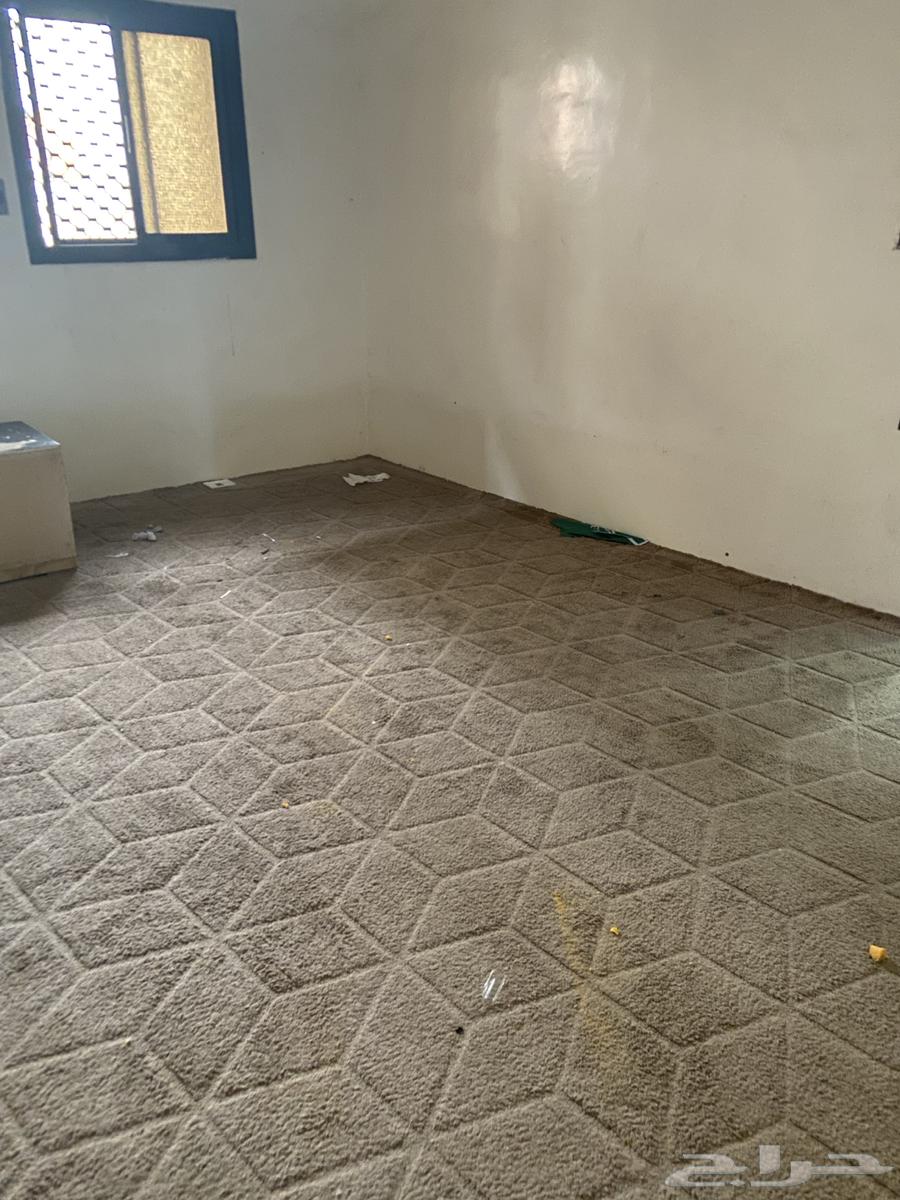 Carpet 4 364613337606659110