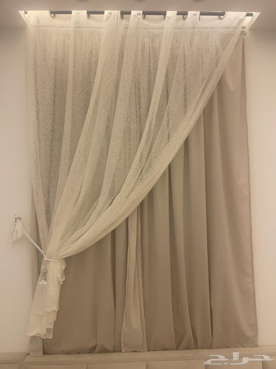 Steer for Sale, Item No. 364614942477442111