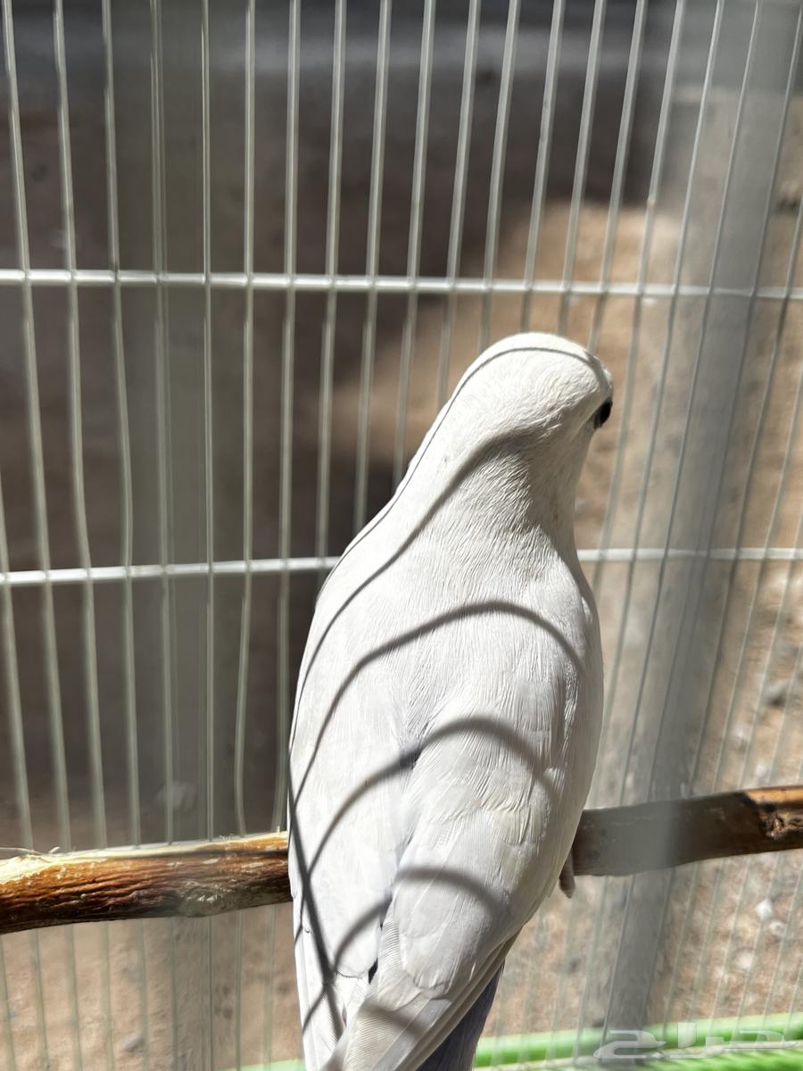 Daily reminder64610058344323112