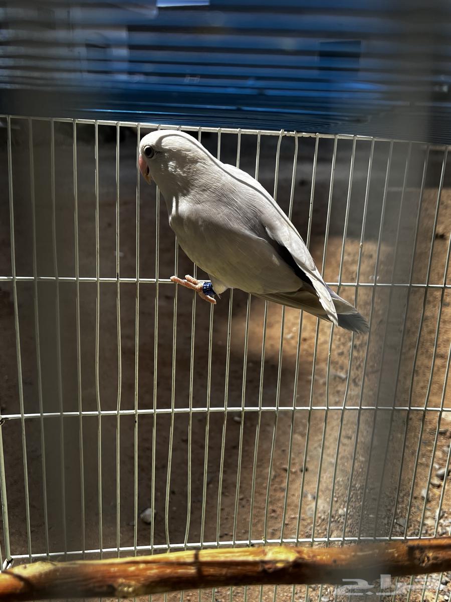 Daily reminder64610058344323111