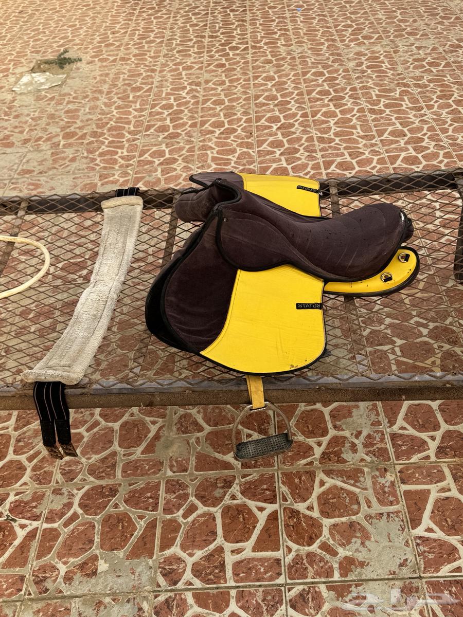 للبيع سرج استيتوس نظيف64612115124099111