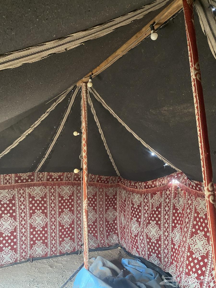 بيت شعر للبع64612127478914110