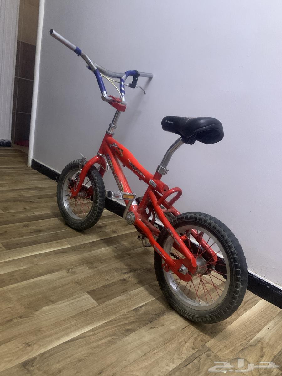 سيكل كوبرا مقاس 14 مايشتكي من شيء64611167198594111