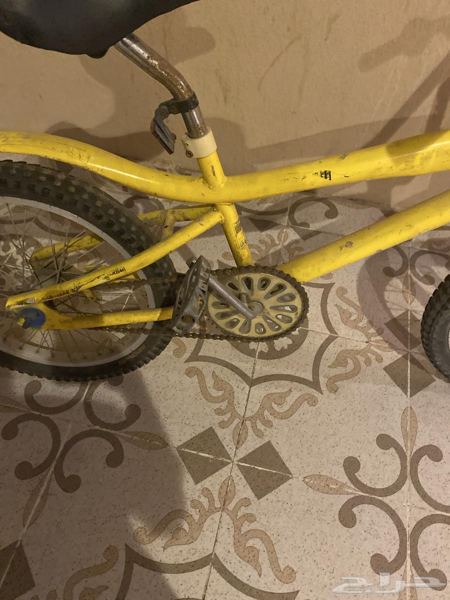 Cobra walks well, condition is almost good, limited to 5064617614405506113