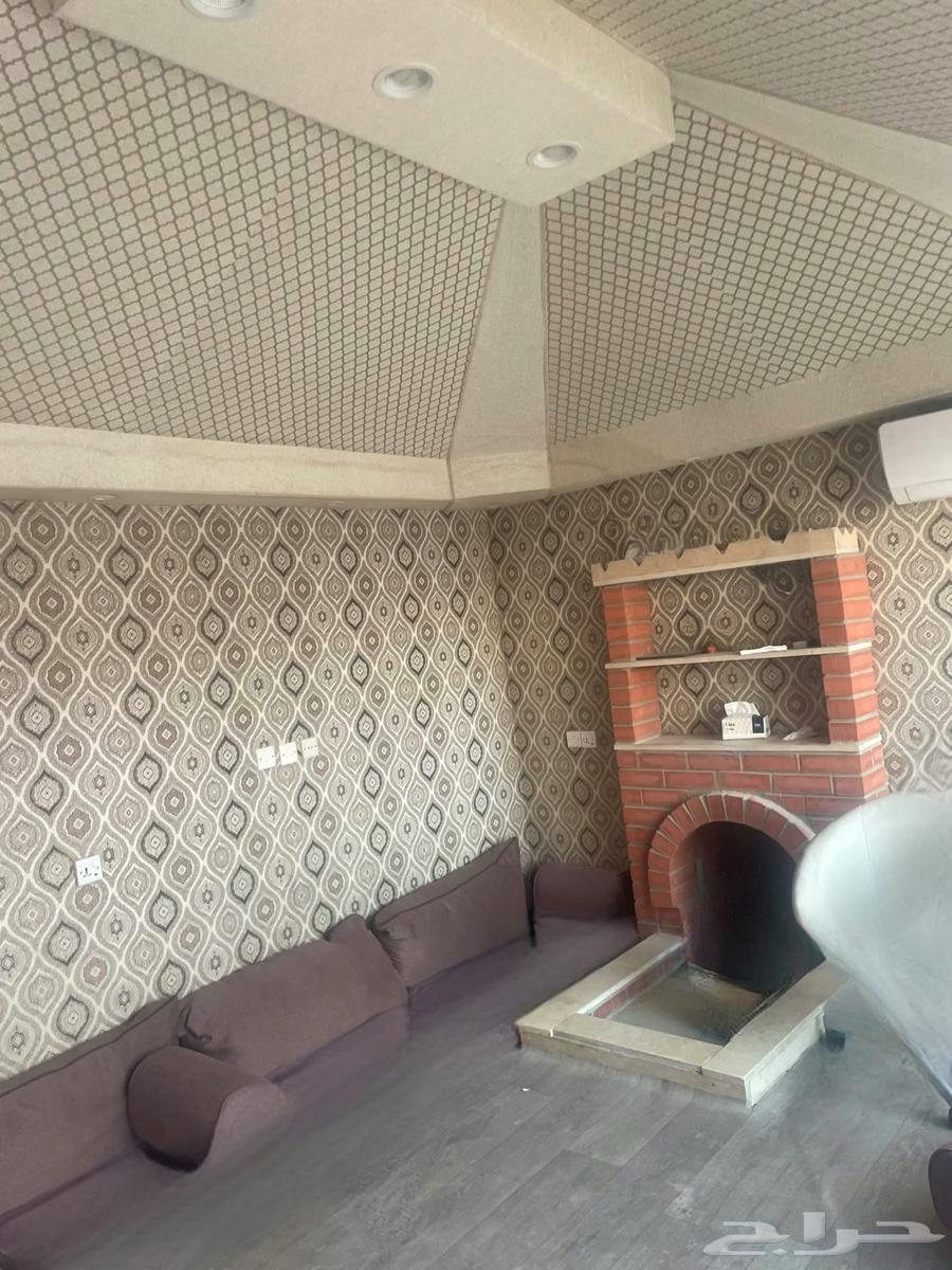 خيمة ملكي مع مشب64609311689857111