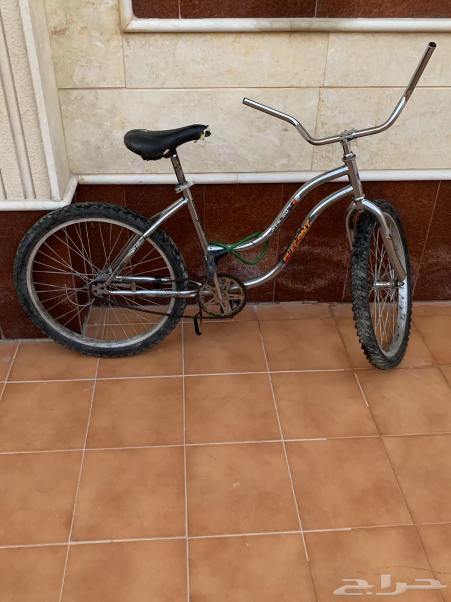 سيكل فراشه للبيع64612313936257113